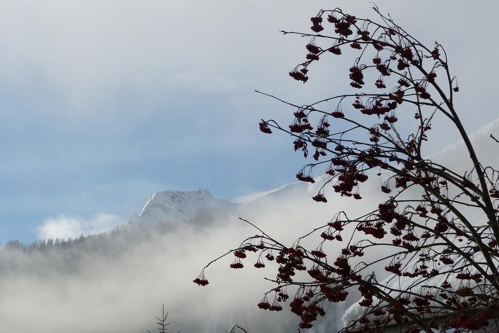 Ciasa Roch Hotel Corvara In Badia Kültér fotó